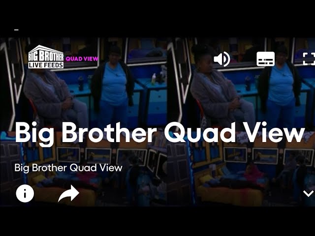 Baixar o filme Big Brother Online pelo Mediafire